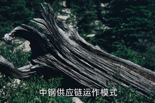  中鋼供應(yīng)鏈運作模式