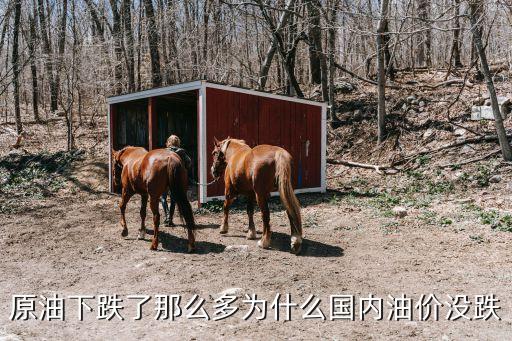 原油下跌了那么多為什么國內(nèi)油價(jià)沒跌