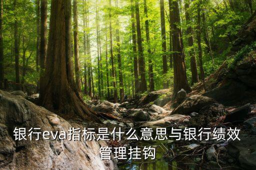 銀行eva指標是什么意思與銀行績效管理掛鉤