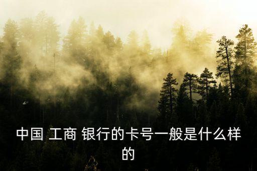 中國 工商 銀行的卡號一般是什么樣的