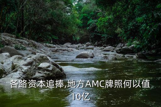 各路資本追捧,地方AMC牌照何以值10億