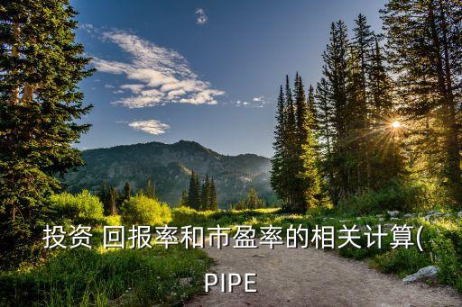  投資 回報率和市盈率的相關(guān)計算(PIPE