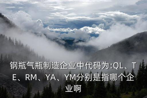 鋼瓶氣瓶制造企業(yè)中代碼為:QL、TE、RM、YA、YM分別是指哪個企業(yè)啊