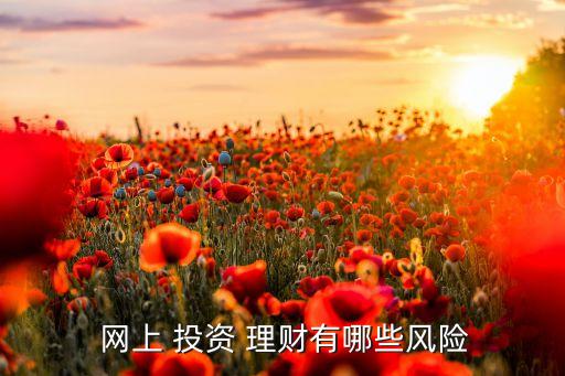  網(wǎng)上 投資 理財(cái)有哪些風(fēng)險(xiǎn)