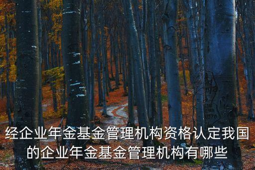 經企業(yè)年金基金管理機構資格認定我國的企業(yè)年金基金管理機構有哪些