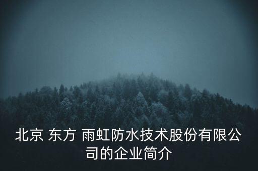 北京 東方 雨虹防水技術(shù)股份有限公司的企業(yè)簡(jiǎn)介