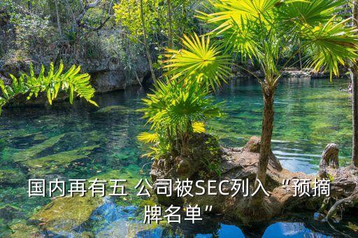 國內(nèi)再有五 公司被SEC列入“預(yù)摘牌名單”