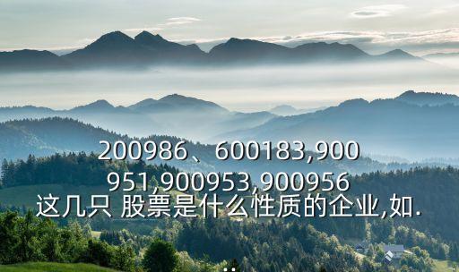 200986、600183,900951,900953,900956這幾只 股票是什么性質(zhì)的企業(yè),如...