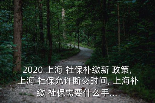 2020 上海 社保補(bǔ)繳新 政策, 上海 社保允許斷交時(shí)間, 上海補(bǔ)繳 社保需要什么手...