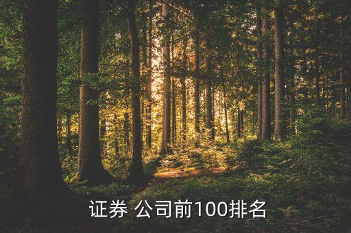  證券 公司前100排名