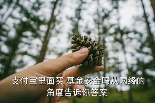  支付寶里面買 基金安全嗎從網(wǎng)絡(luò)的角度告訴你答案