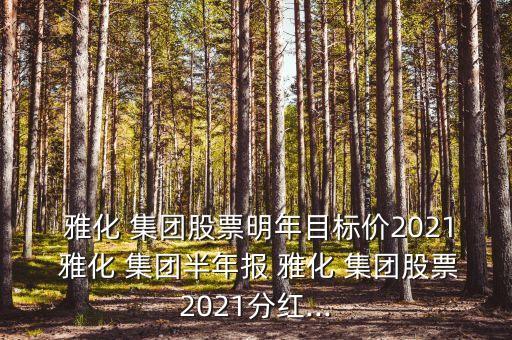  雅化 集團股票明年目標(biāo)價2021 雅化 集團半年報 雅化 集團股票2021分紅...