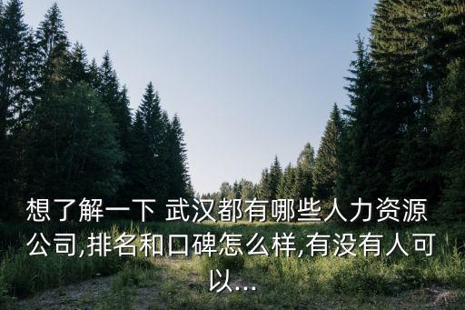 想了解一下 武漢都有哪些人力資源 公司,排名和口碑怎么樣,有沒(méi)有人可以...