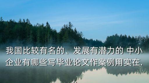 我國(guó)比較有名的、發(fā)展有潛力的 中小企業(yè)有哪些寫(xiě)畢業(yè)論文作案例用實(shí)在...