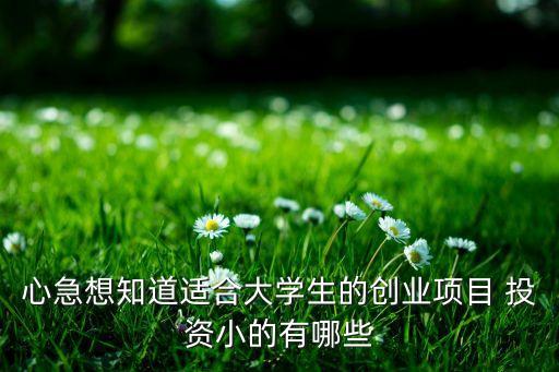 心急想知道適合大學(xué)生的創(chuàng)業(yè)項(xiàng)目 投資小的有哪些