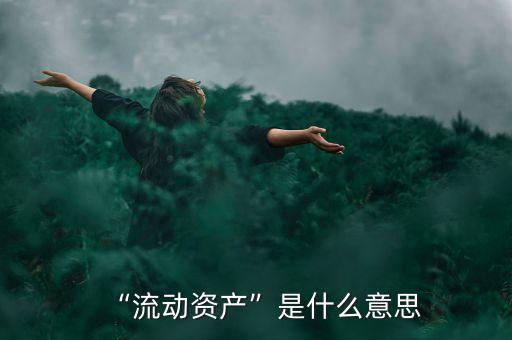 “流動資產(chǎn)”是什么意思