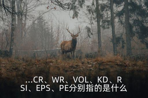 ...CR、WR、VOL、KD、RSI、EPS、PE分別指的是什么