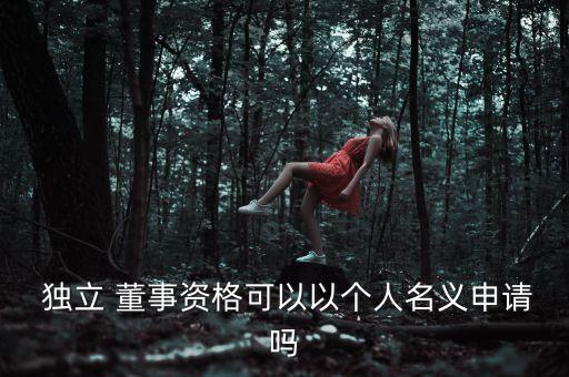  獨立 董事資格可以以個人名義申請嗎