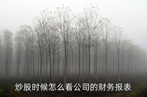 炒股時(shí)候怎么看公司的財(cái)務(wù)報(bào)表