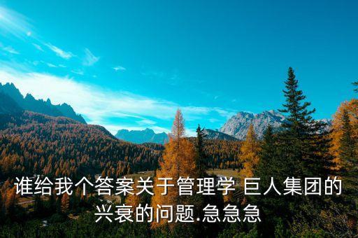 誰給我個答案關(guān)于管理學(xué) 巨人集團的興衰的問題.急急急