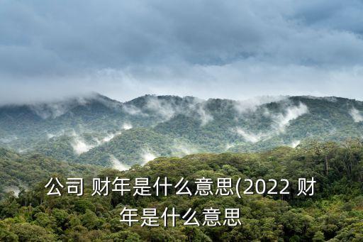 公司 財年是什么意思(2022 財年是什么意思