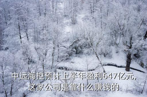 中遠(yuǎn)?？仡A(yù)計(jì)上半年盈利647億元,這家公司是靠什么賺錢(qián)的