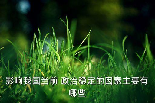 影響我國當前 政治穩(wěn)定的因素主要有哪些