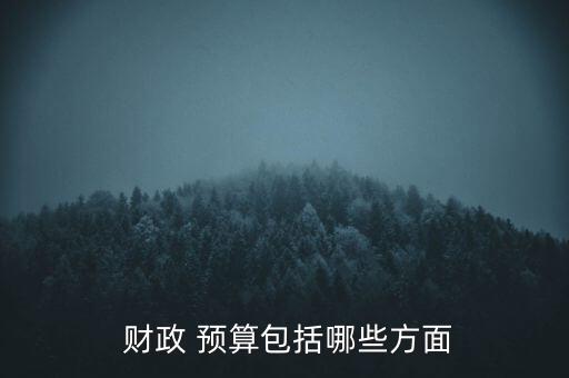  財政 預(yù)算包括哪些方面