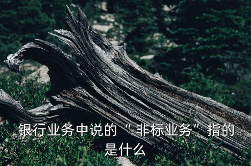  銀行業(yè)務中說的“ 非標業(yè)務”指的是什么