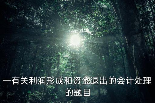 一有關(guān)利潤形成和資金退出的會計處理的題目