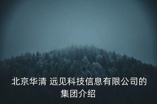  北京華清 遠(yuǎn)見科技信息有限公司的集團(tuán)介紹