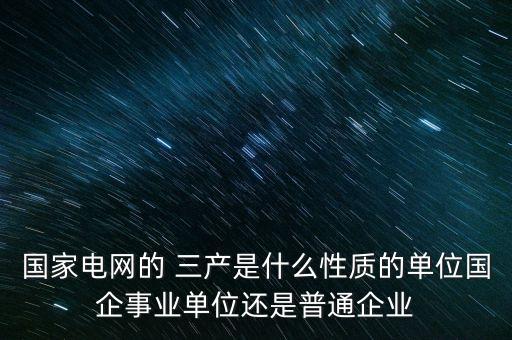 國家電網的 三產是什么性質的單位國企事業(yè)單位還是普通企業(yè)