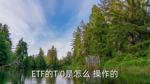 etf基金短線操作,基金etf交易規(guī)則及費(fèi)用