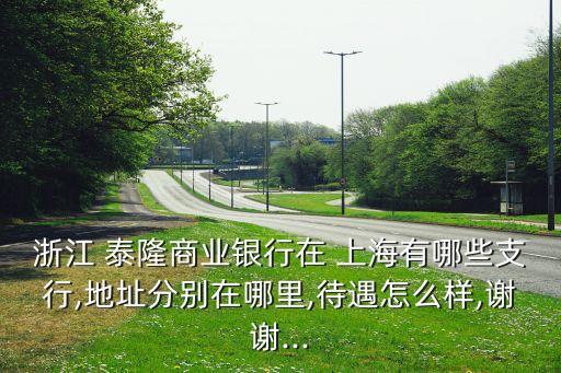 浙江 泰隆商業(yè)銀行在 上海有哪些支行,地址分別在哪里,待遇怎么樣,謝謝...