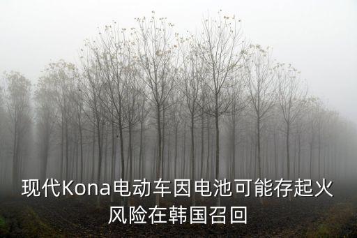 現(xiàn)代Kona電動車因電池可能存起火風(fēng)險在韓國召回