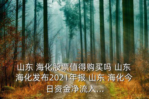  山東 ?；善敝档觅徺I嗎 山東 ?；l(fā)布2021年報 山東 ?；袢召Y金凈流入...