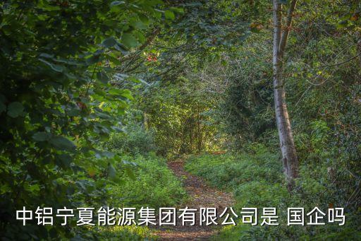 中鋁寧夏能源集團(tuán)有限公司是 國企嗎