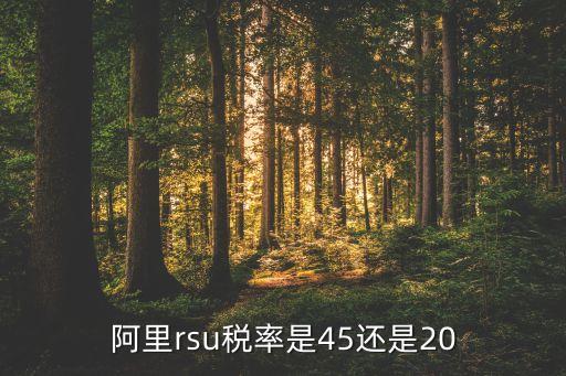 阿里rsu稅率是45還是20