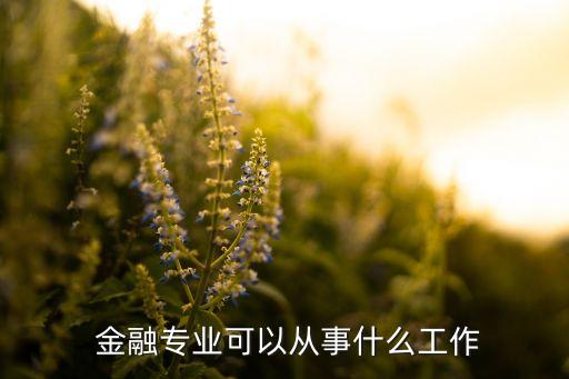 三星投資金融擔當招聘