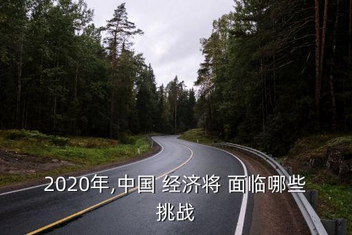 2020年,中國(guó) 經(jīng)濟(jì)將 面臨哪些挑戰(zhàn)