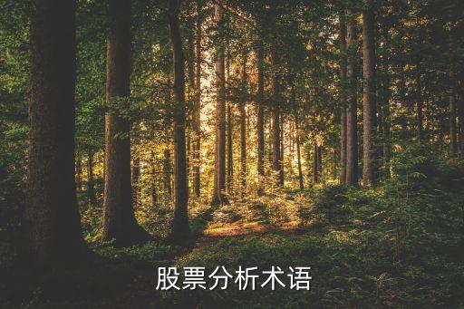  股票分析術(shù)語