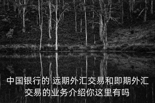 中國銀行的 遠期外匯交易和即期外匯交易的業(yè)務介紹你這里有嗎