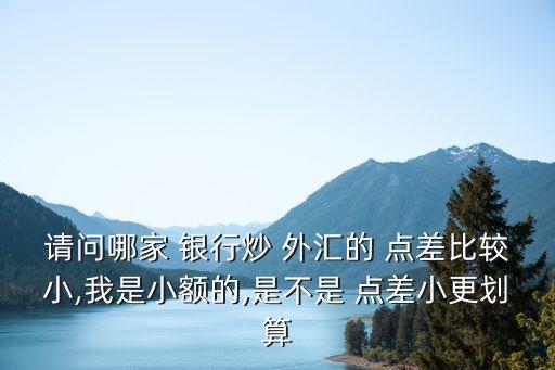 請問哪家 銀行炒 外匯的 點差比較小,我是小額的,是不是 點差小更劃算