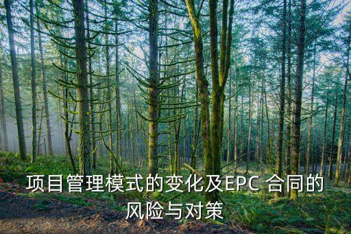 項(xiàng)目管理模式的變化及EPC 合同的風(fēng)險(xiǎn)與對(duì)策