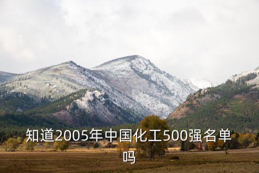 知道2005年中國(guó)化工500強(qiáng)名單嗎