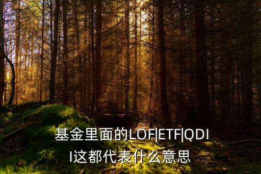  基金里面的LOF|ETF|QDII這都代表什么意思