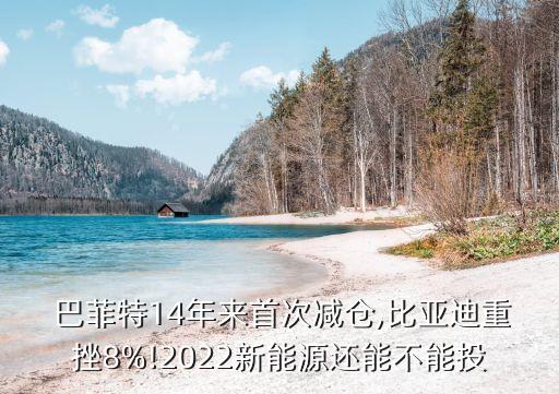  巴菲特14年來首次減倉,比亞迪重挫8%!2022新能源還能不能投