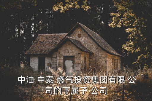 中油中泰燃?xì)庥邢挢?zé)任公司,中油南充燃?xì)庥邢挢?zé)任公司客服電話