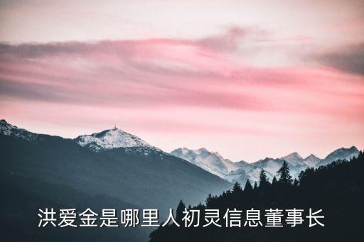 洪愛金是哪里人初靈信息董事長(zhǎng)