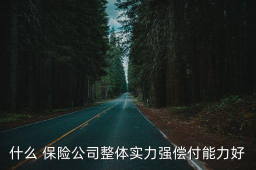 什么 保險公司整體實力強償付能力好